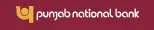 Punjab National Bank (PNB) logo